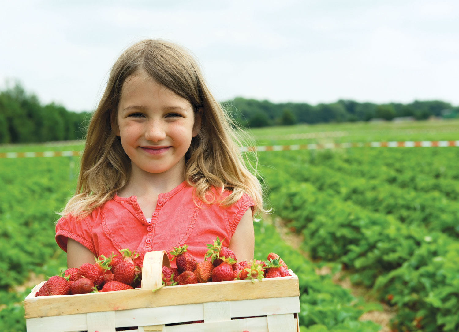 Little girl holding a basket of strawberries