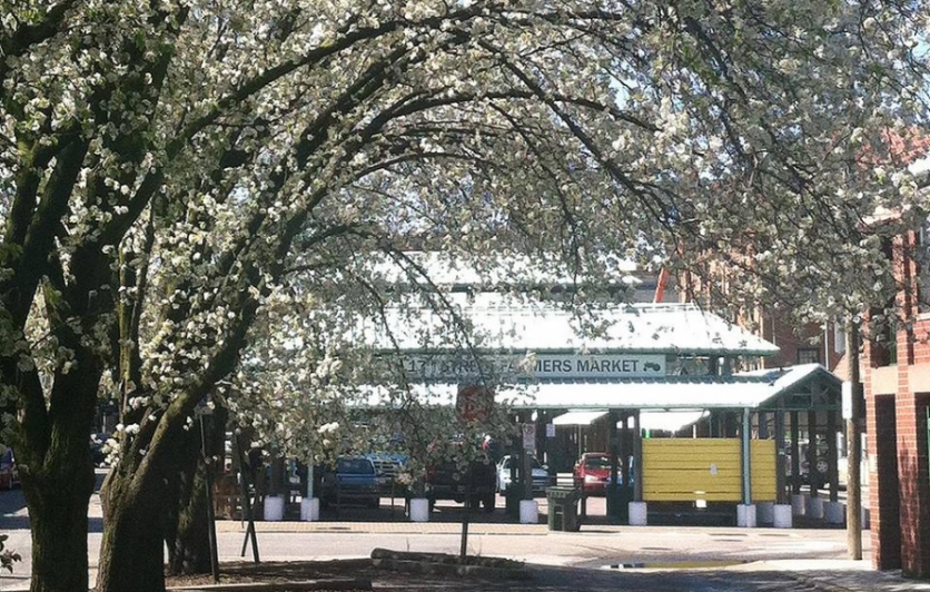 17th Street Farmer's Market Richmond Virginia 