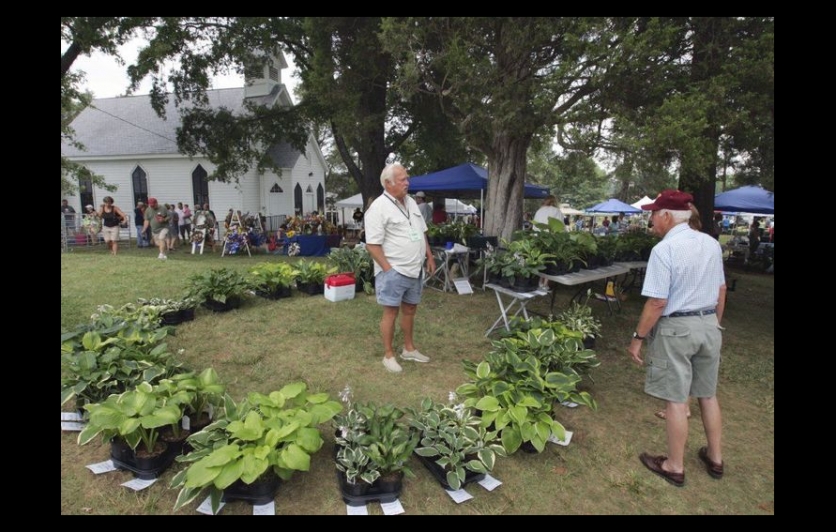 Goochland Fairgrounds Market