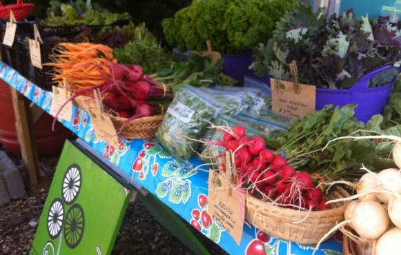 Tricycle Gardens Four Seasons Market