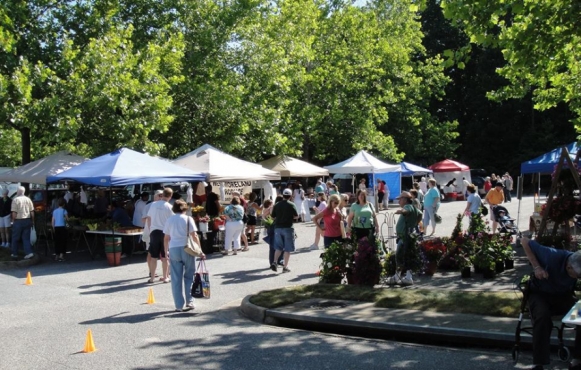 Brandermill Green Market