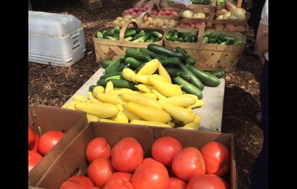 Chesterfield County Farmers Market